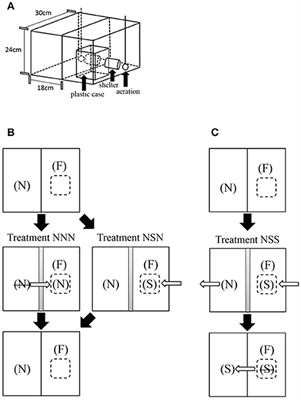 Tit for Tat in the Dear Enemy Relationship Between Territorial Females of a Cichlid Fish